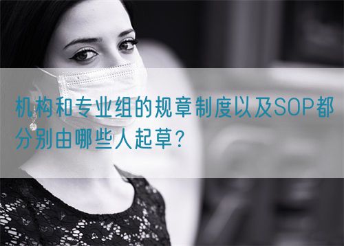 机构和专业组的规章制度以及SOP都分别由哪些人起草？(图1)