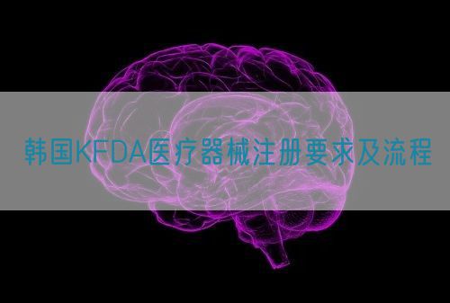 韩国KFDA医疗器械注册要求及流程(图1)