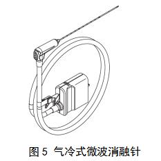 微波消融设备注册审查指导原则（2021年第93号）(图6)