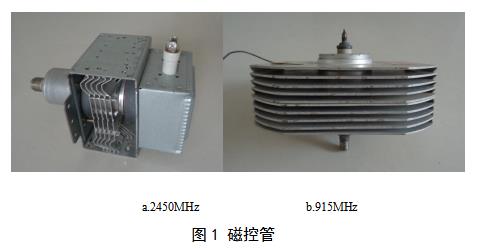 微波消融设备注册审查指导原则（2021年第93号）(图2)