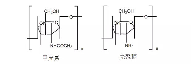 可吸收高分子材料介绍及其在植入医疗器械中的应用(图2)