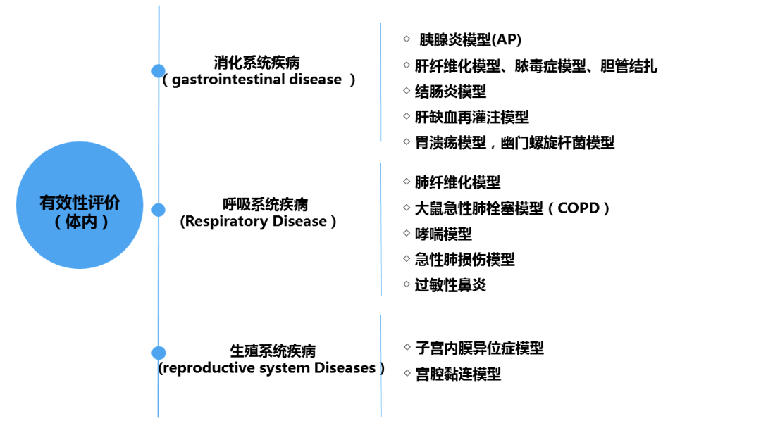 美容类医疗器械注册申报关注要点(图7)